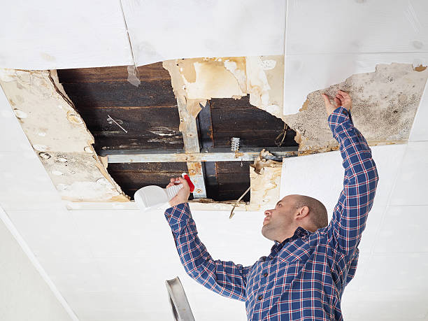 Best Mold Remediation for Healthcare Facilities  in Parkston, SD